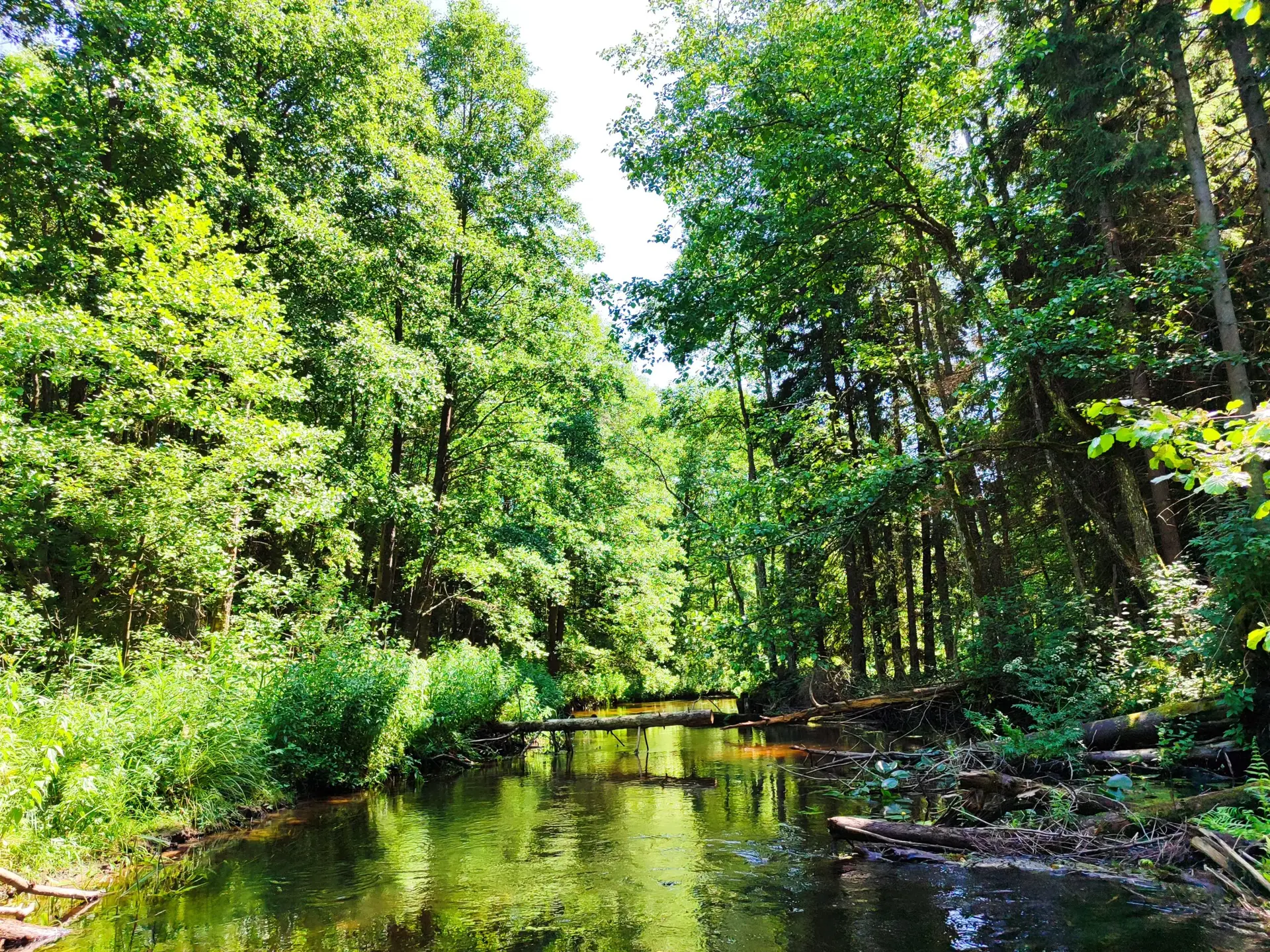 Palaukite baidarėmis upe Buka